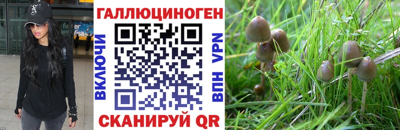 Галлюциногенные грибы GOLDEN TEACHER  где продают наркотики  Ахтубинск 