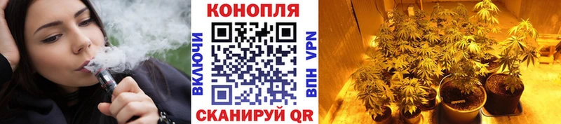 МАРИХУАНА SATIVA & INDICA  Ахтубинск 